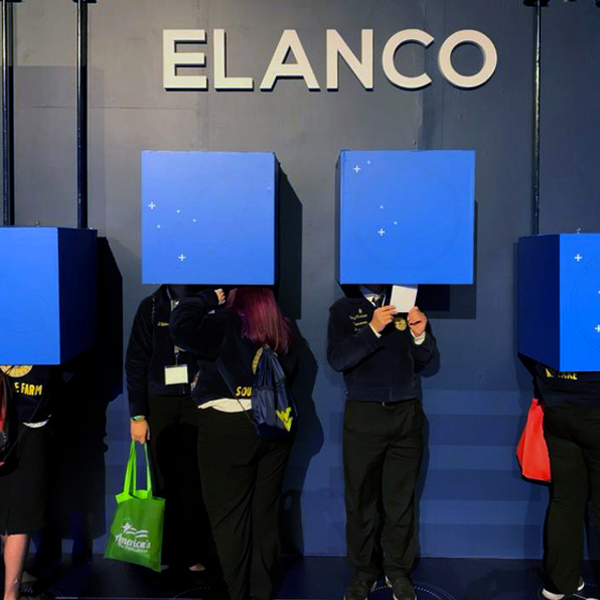 elanco_blue_room3