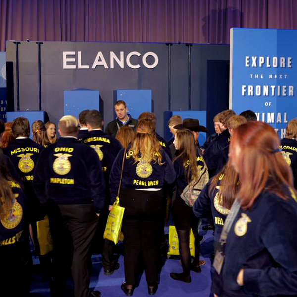 elanco_blue_room4